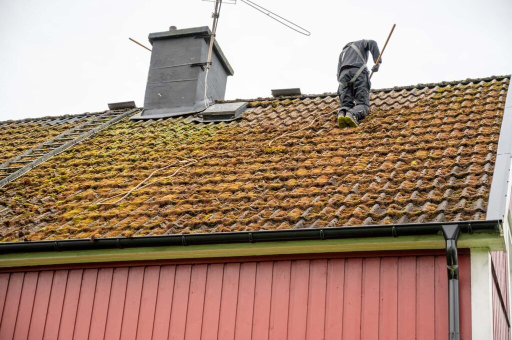 Roof moss removal Roof moss removal London