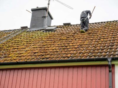 Roof moss removal Stratford